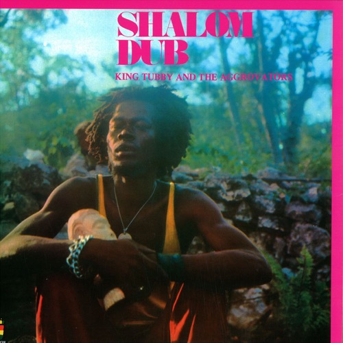 King Tubby And The Aggrovators – Shalom Dub