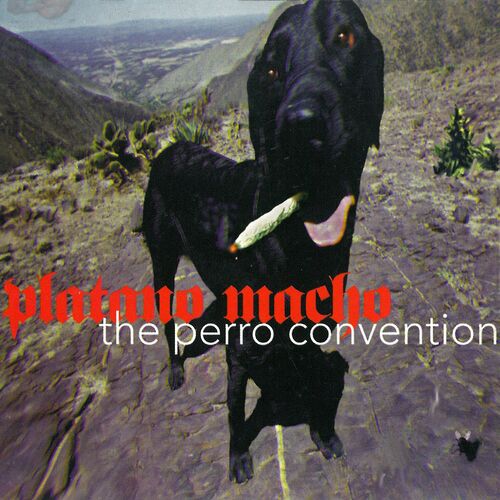 Plátano Macho - The Perro Convention