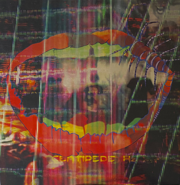 Animal Collective - Centipede Hz (2 Discos)