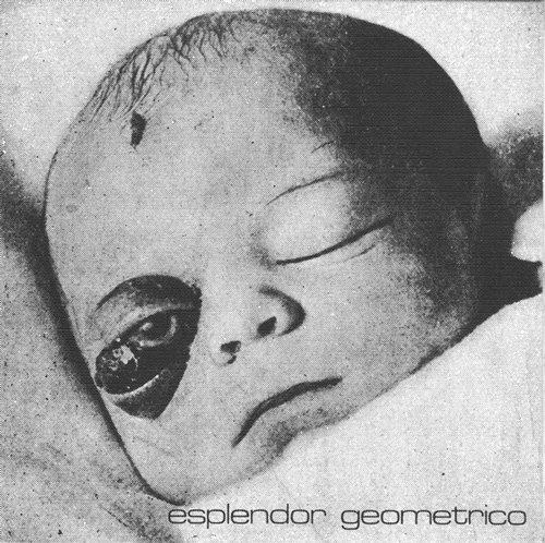 Esplendor Geometrico - Necrosis En La Poya (7" - RSD)