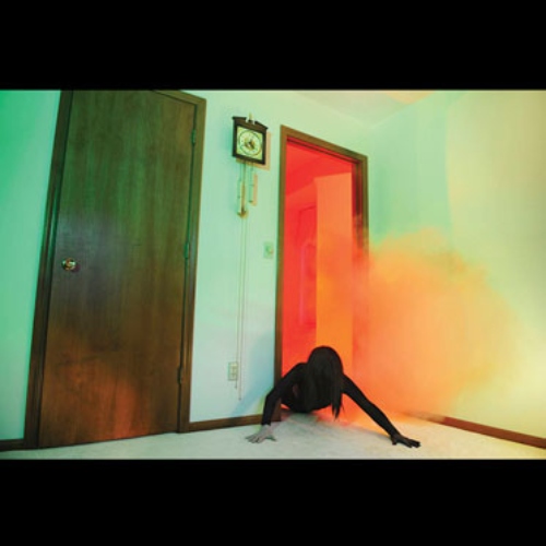 Adult. - Becoming Undone (Disco de Color)