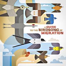 V/A – A Guide To The Birdsong Of Migration