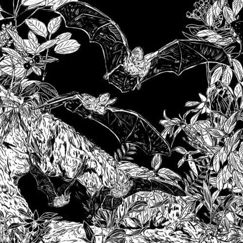 Amantes Del Futuro y Los Murciélagos de Yucatán - Rascabuche / La Cueva de los Murciélagos (Disco Splatter)