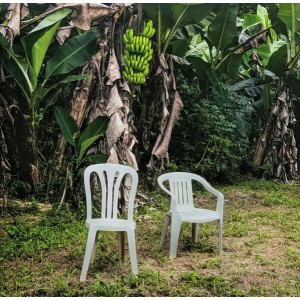 Bad Bunny - Debí Tirar Más Fotos (2 Discos de Color Blanco Opaco)