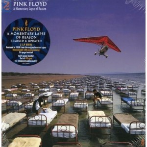 Pink Floyd - A Momentary Lapse Of Reason (Remixed & Updated) (2 Discos + Booklet)